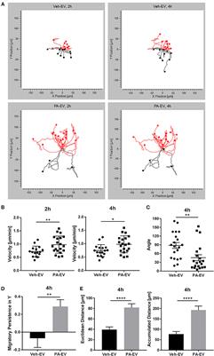 Hepatocyte-Derived Lipotoxic Extracellular Vesicle Sphingosine 1-Phosphate Induces Macrophage Chemotaxis